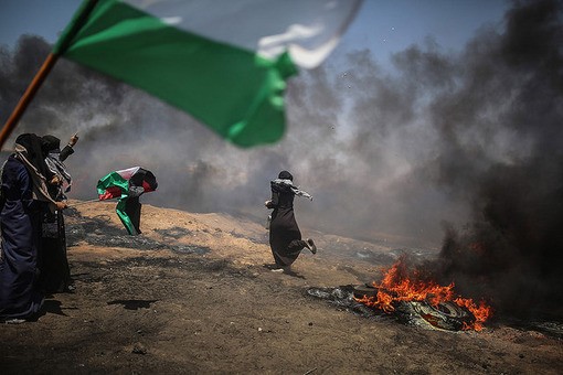 Noi ricordiamo la Grande Guerra, mentre i Palestinesi la stanno Vivendo