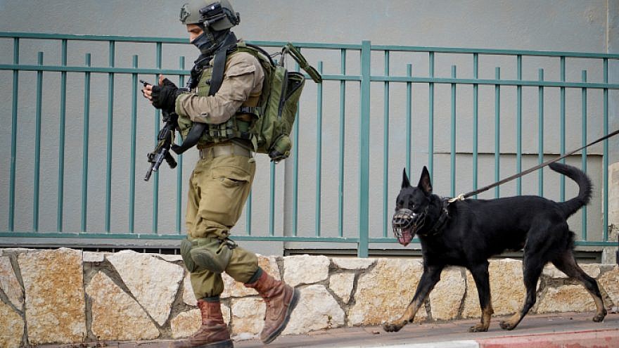 L'esercito israeliano si serve anche di cani per attaccare i civili palestinesi
