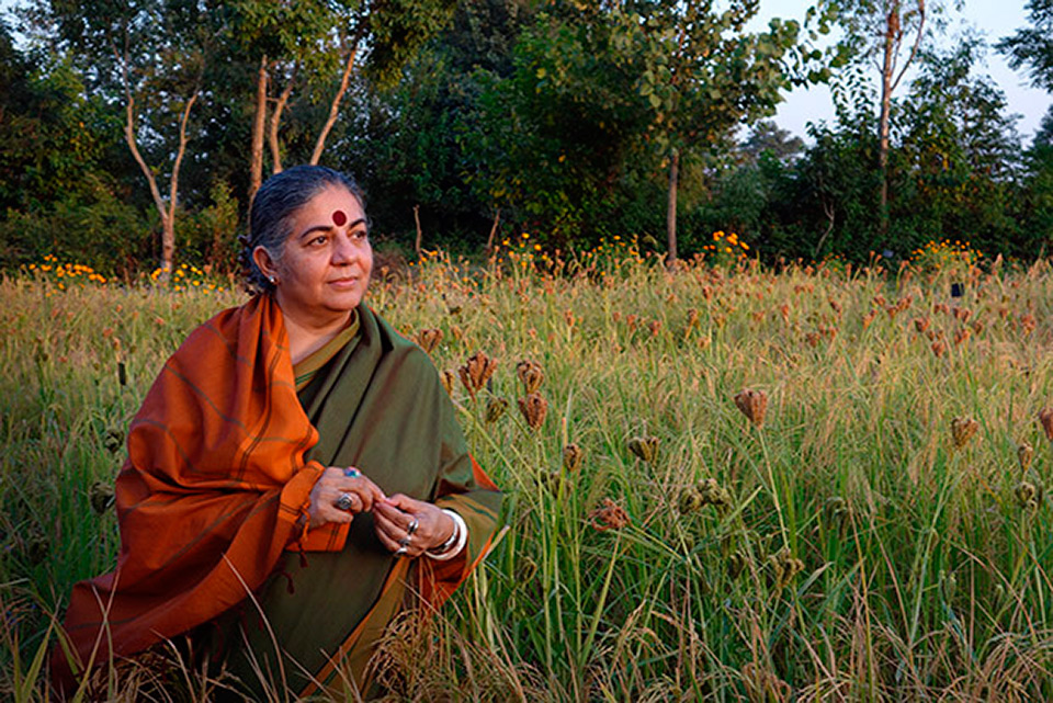 Vandana Shiva: Dobbiamo combattere l' 1% per fermare la Sesta Estinzione di Massa