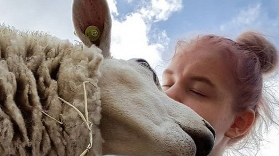 Storie di eutanasie di bilancio