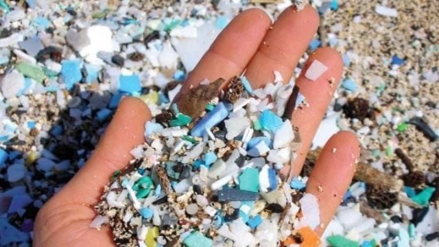 Rifiuti zero: la Crisi Globale della Plastica
