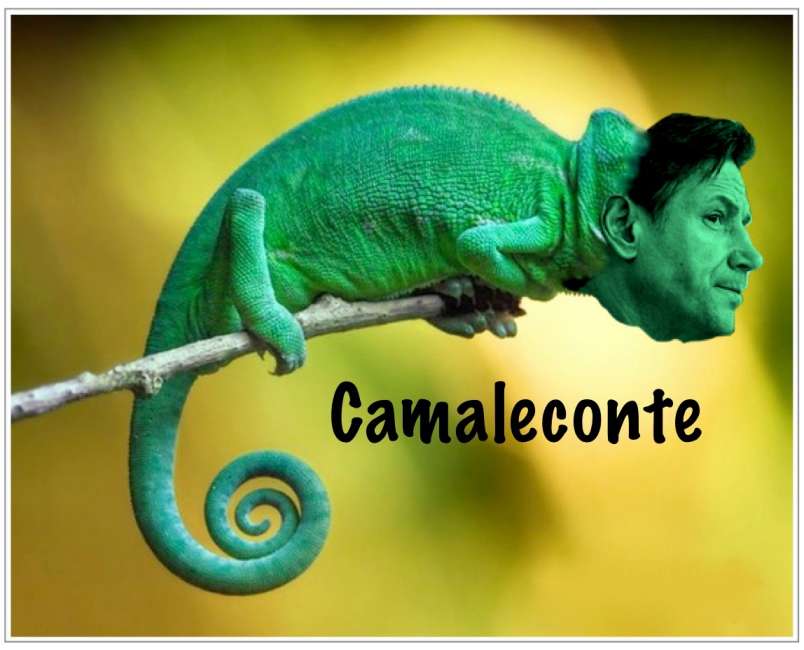 Camaleconte