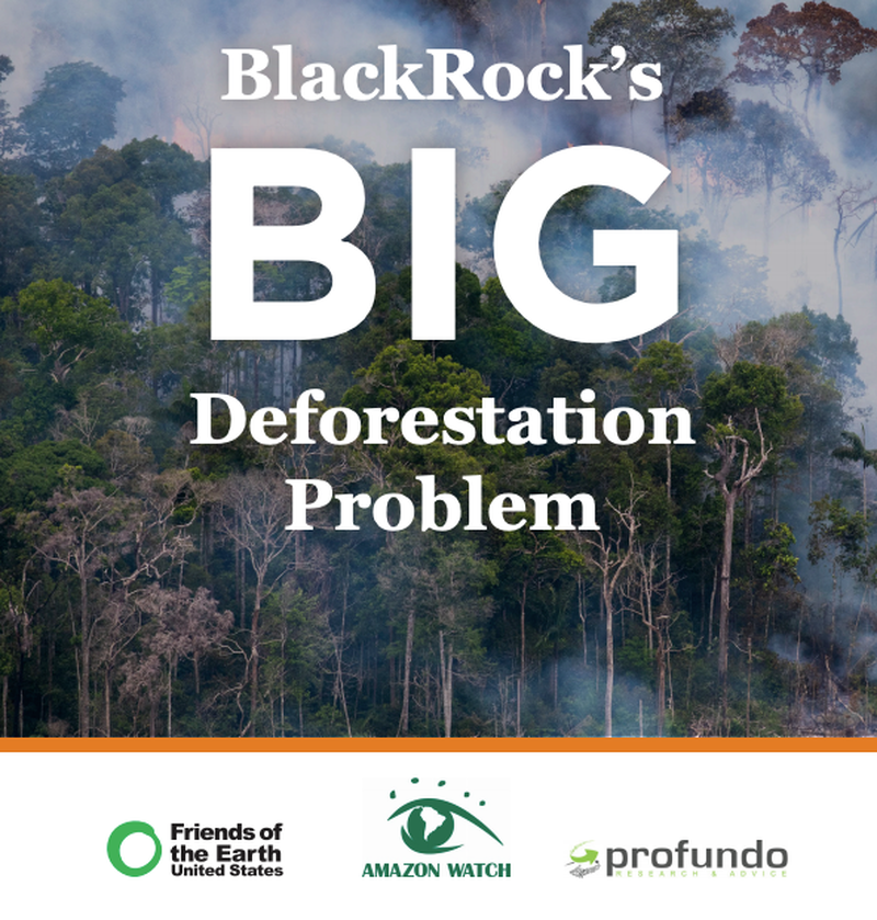 Amazzonia: Le foreste di tutto il mondo bruciano e la BlackRock fa i soldi veri