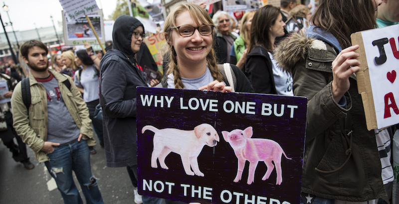 Bisogna smetterla di prendere in giro i vegani