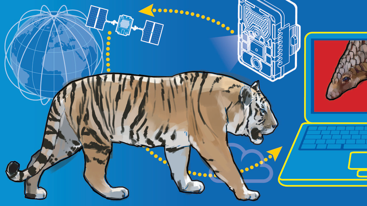 La scienza contro i bracconieri: come la tecnologia sta trasformando la conservazione della fauna selvatica