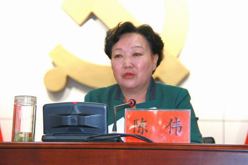 Generale Maggiore Chen Wei