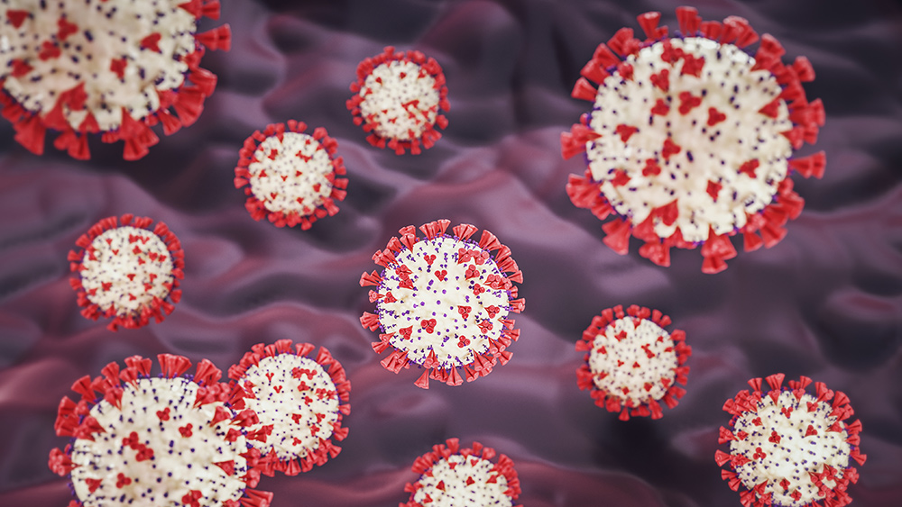 Uno studio islandese identifica mutazioni del coronavirus: ci si può infettare con diverse varianti