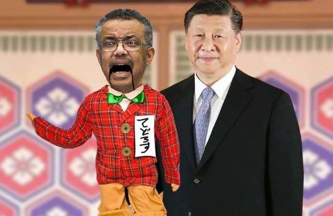 Cina e OMS compagni di merende per il prossimo NWO