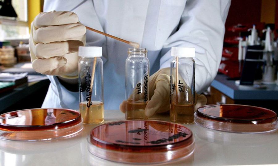 Sulla vicenda di strane epidemie in Ucraina