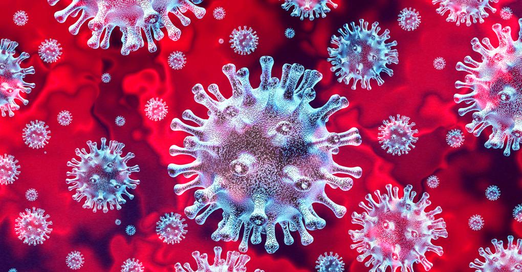 coronavirus cellule