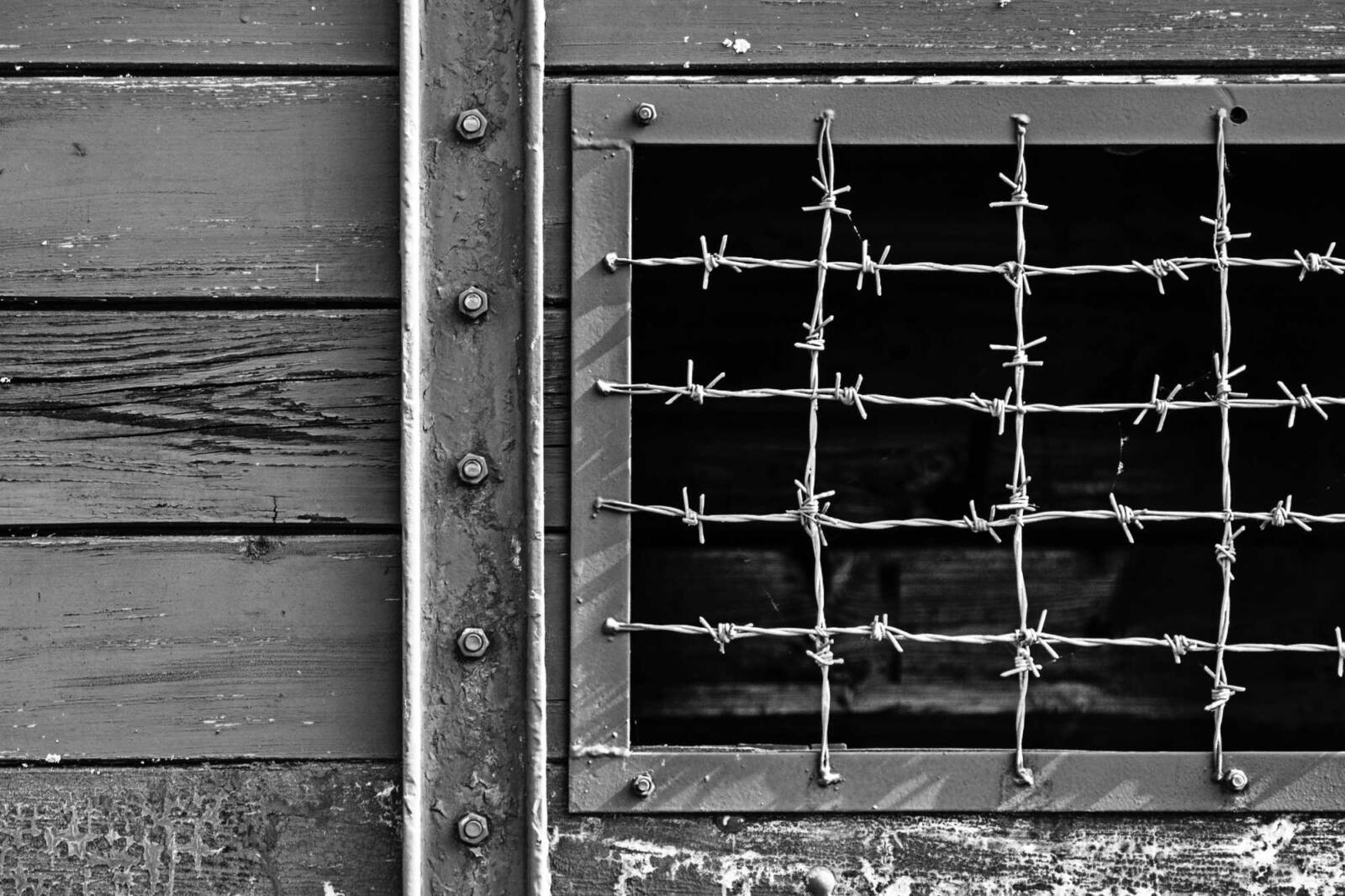 La generazione del millennio e l’Olocausto