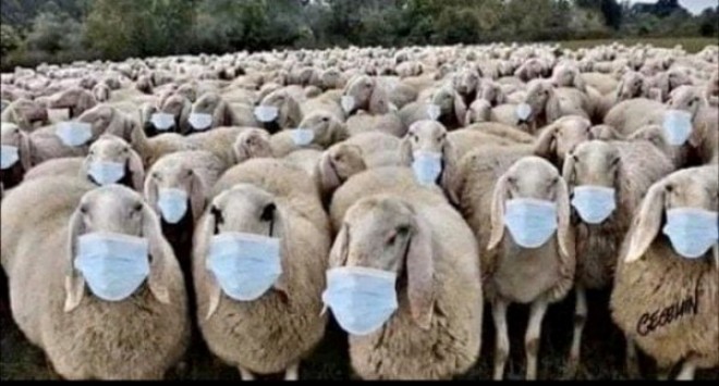 Gli americani contro l’obbligo incostituzionale delle mascherine