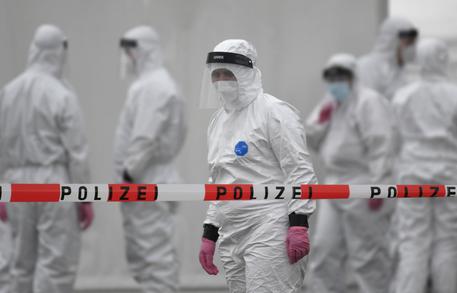 Covid, Science: "Solo l'8% dei malati è contagioso"