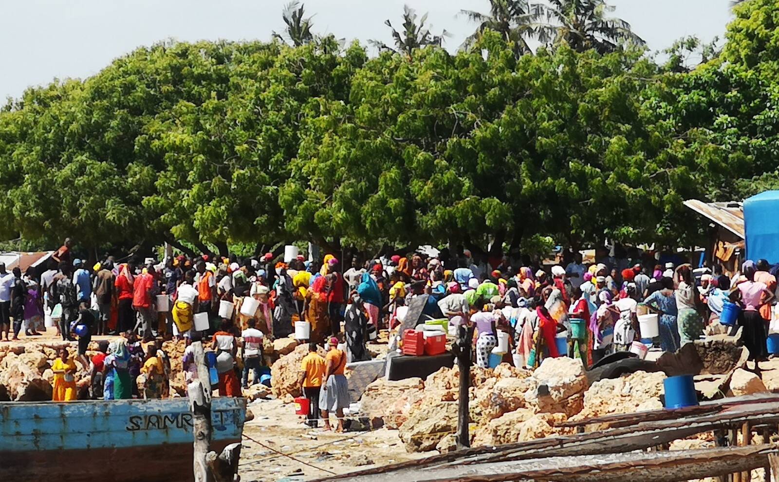 Covid-19: la Tanzania è benedetta da Dio o bugiarda?