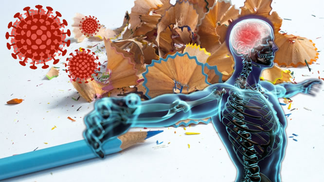 Il Coronavirus e la scuola dell’ordine