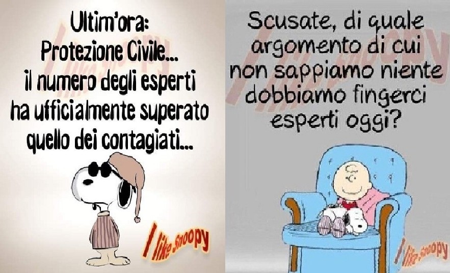 Non esistono “esperti” di salute pubblica