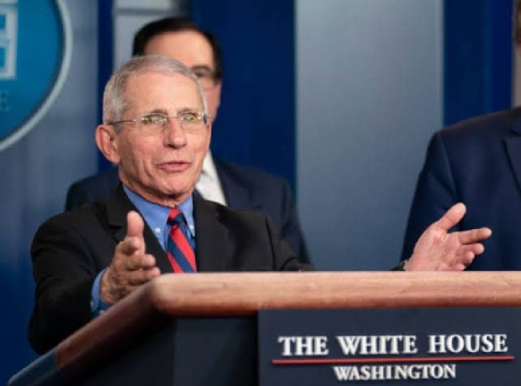 Fauci non sa spiegare il crollo dei casi nel Texas senza restrizioni
