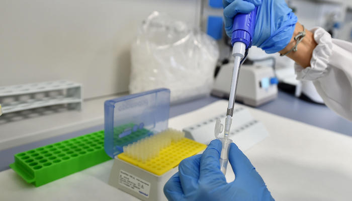 pfizer ludopatia italia