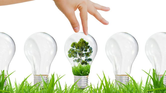Ecologia come arma del Globalismo