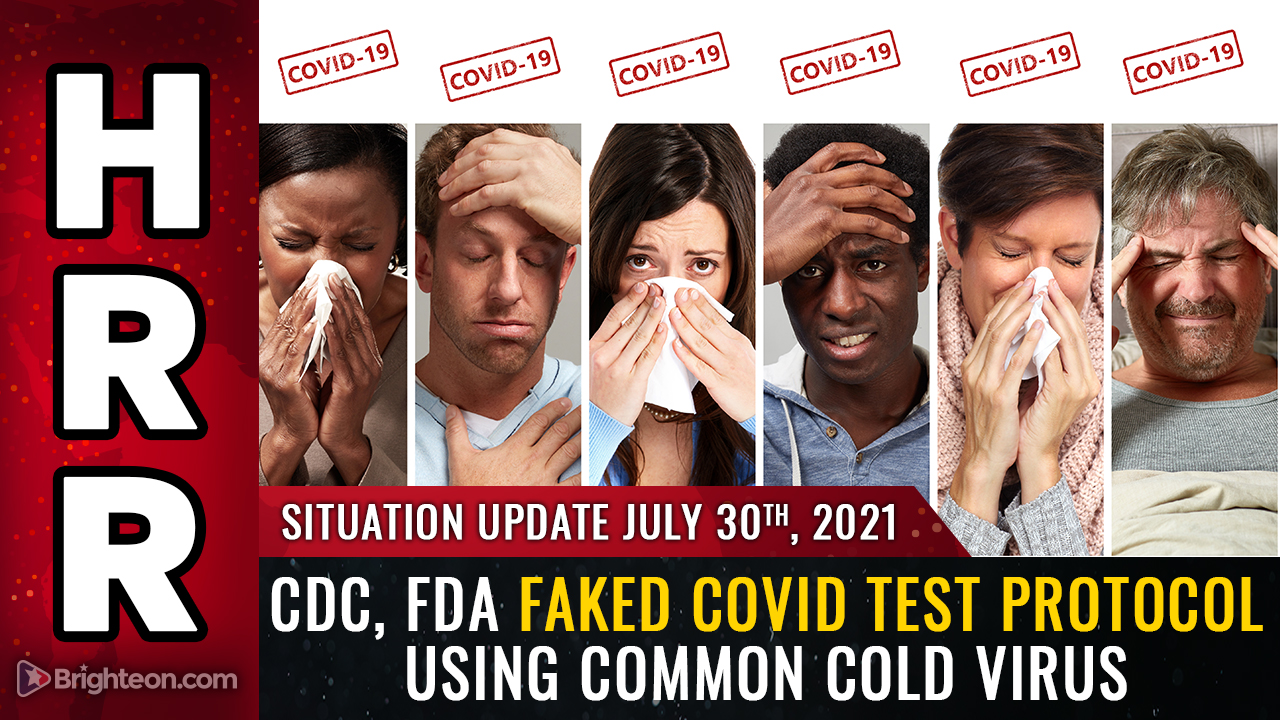 CDC, FDA hanno falsificato il protocollo del test PCR usando cellule umane e frammenti del virus del comune raffreddore