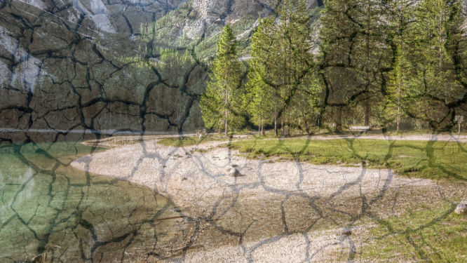 Come l’UE e la cabala di Davos pianificano il controllo dell’agricoltura