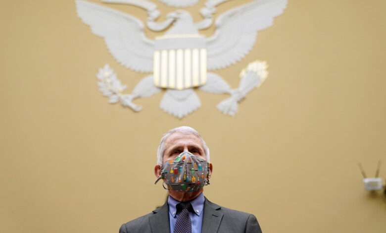 Fauci USA esperimenti cani