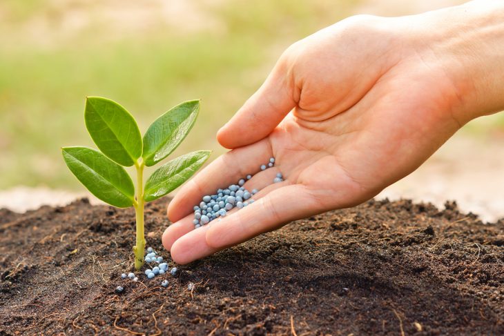 Stanno deliberatamente distruggendo la produzione mondiale di fertilizzanti?