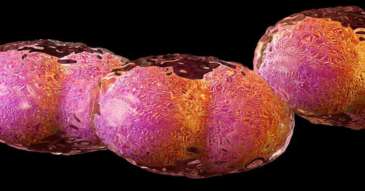 Il vaiolo sarà la prossima "fuga dal laboratorio"?