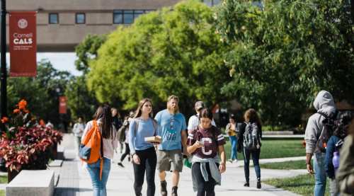 Focolaio Cornell University con 900 positivi quasi tutti vaccinati