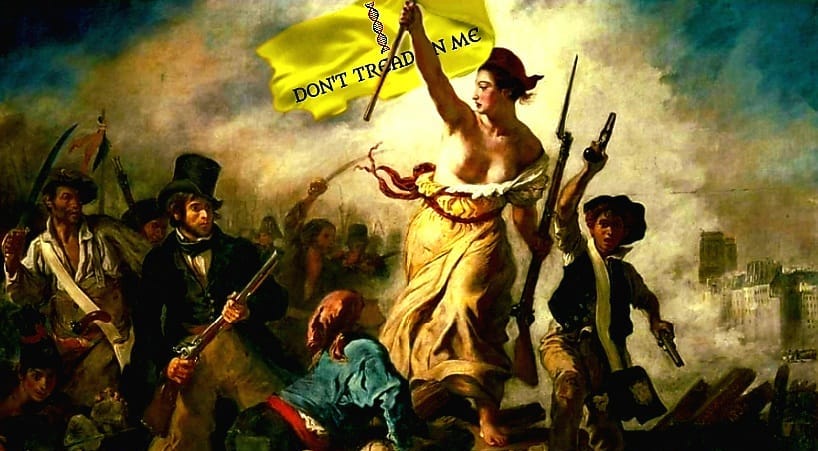 Il crollo della democrazia borghese occidentale, cause e prospettive