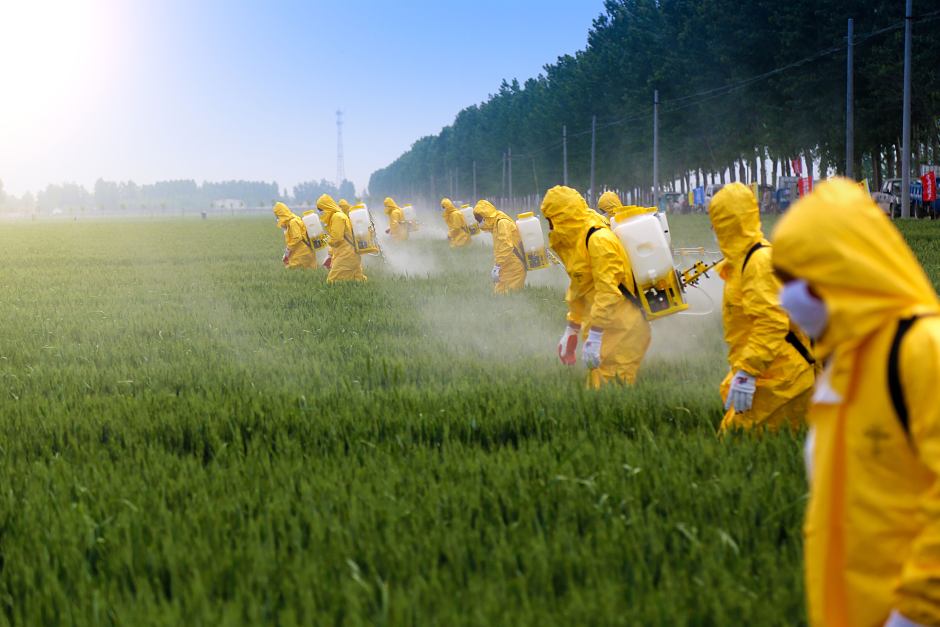 Imbevuti di pesticidi: la narrativa dell'inganno