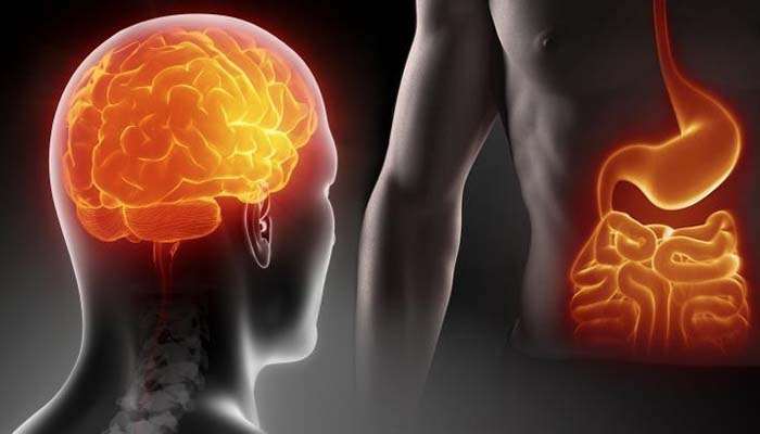 salute cerebrale e celiachia