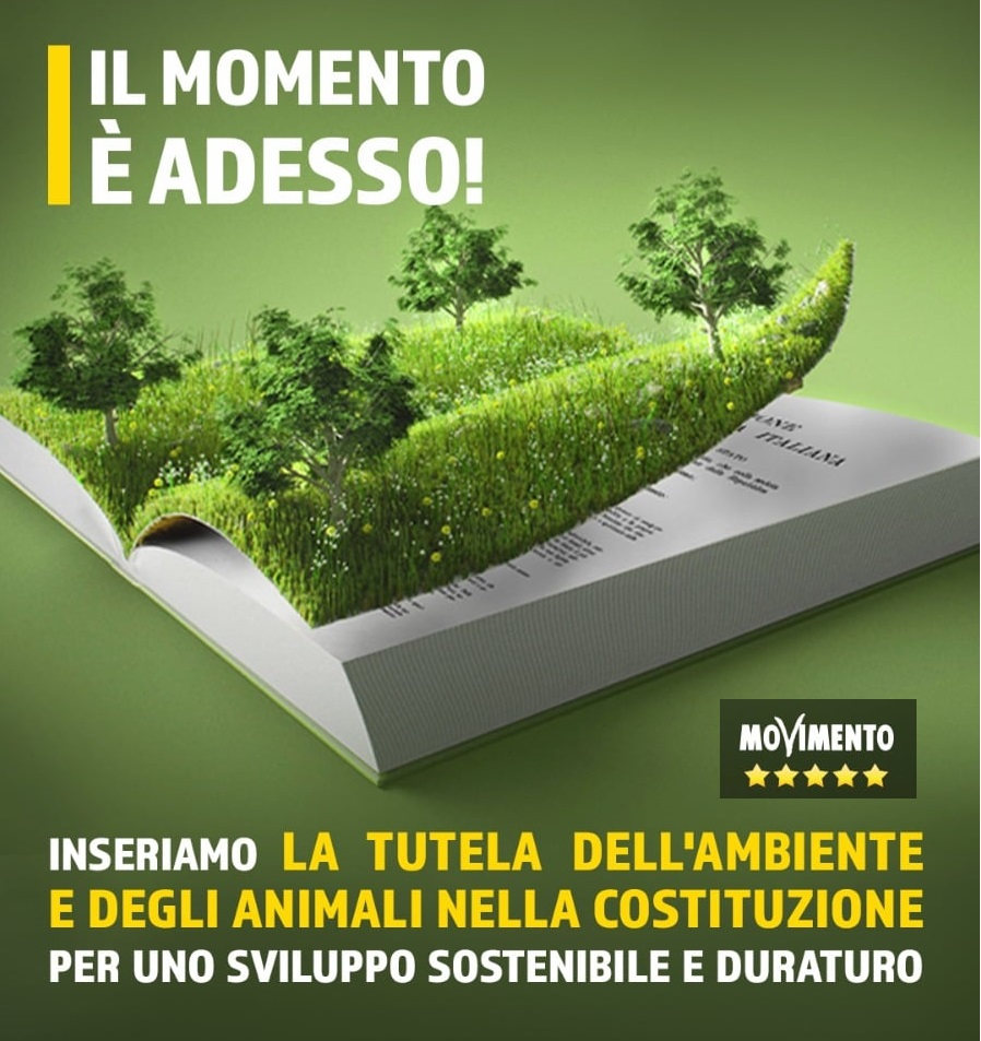 Locandina dei 5stelle per promuovere l'aggiornamento green della costituzione