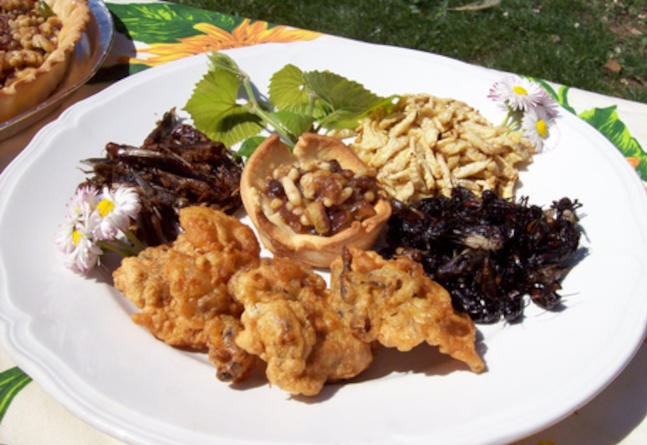 insetti-cibo-unione-europea