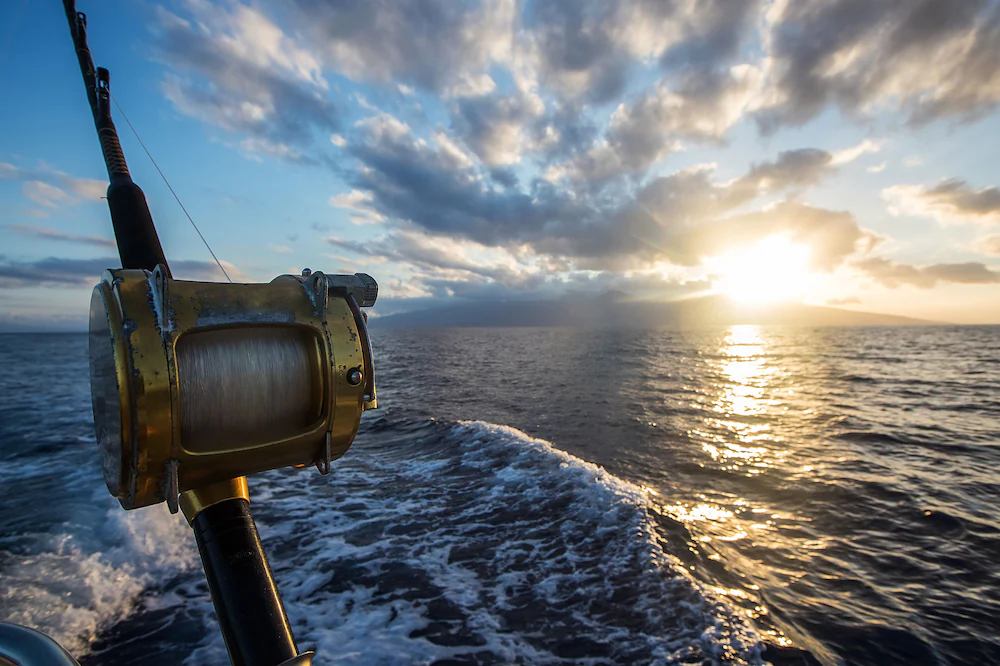 Pesca d'alto mare