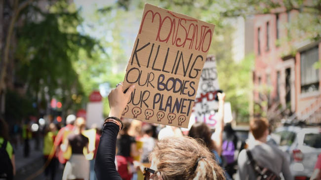 Monsanto-los-angeles-pcb
