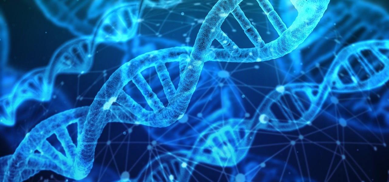 La peggiore delle paure diventa realtà: l’mRNA del vaccino Pfizer si trascrive nel DNA cellulare