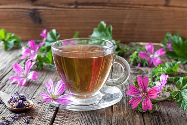 Malva, perché è utile averla in casa