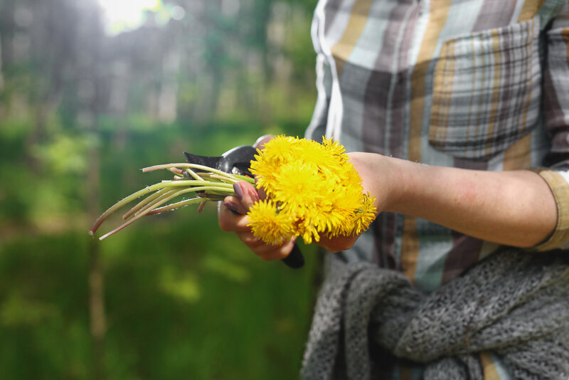 sostenere il fegato in primavera