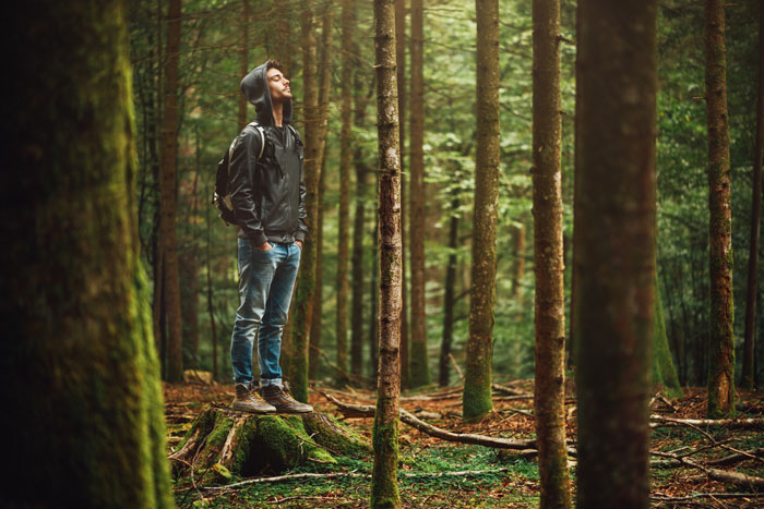Riscoprire il legame con gli alberi per rafforzare la salute individuale e collettiva