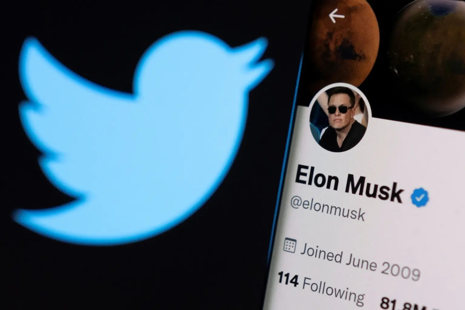 elon musk twitter