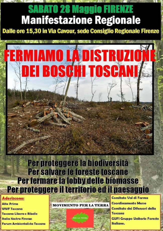 28-maggio-manifestazione-contro-il-taglio-alberi
