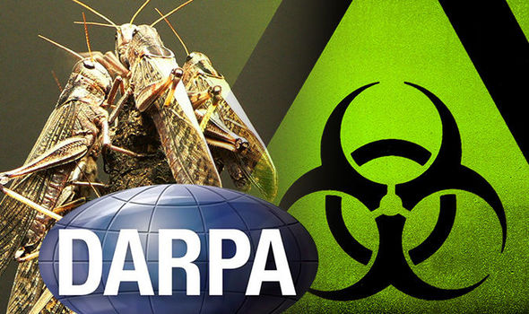 Il programma “Insect Allies” – il Vaso di Pandora della DARPA
