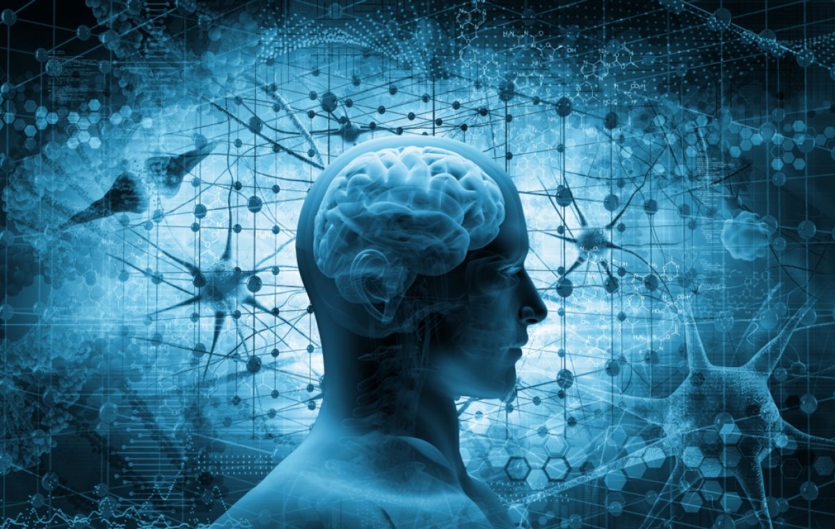 Le placche aterosclerotiche dialogano con il cervello