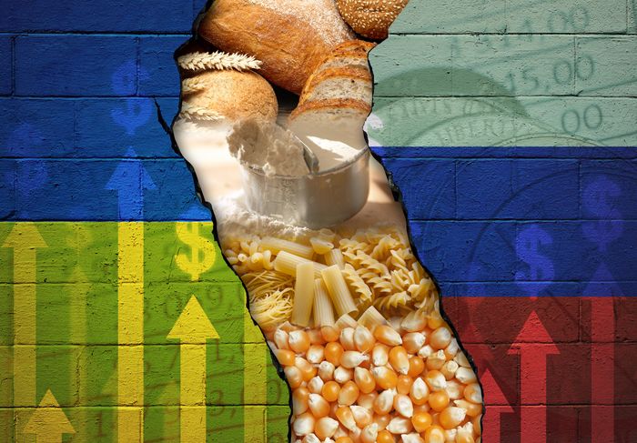 La guerra al cibo – Chi è il colpevole?