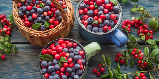 Mirtilli per il controllo del diabete