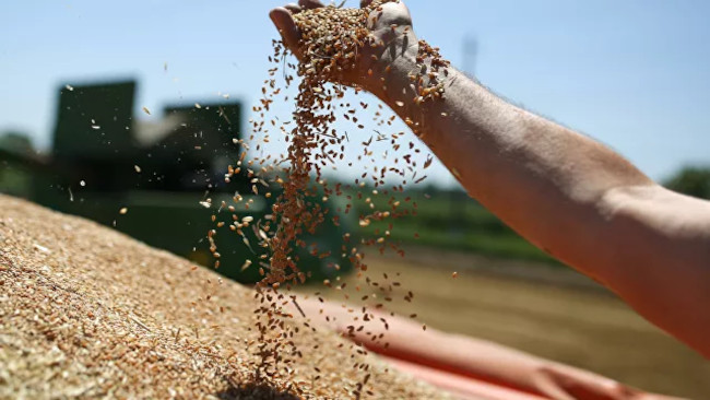 Grano ucraino ONU PAM