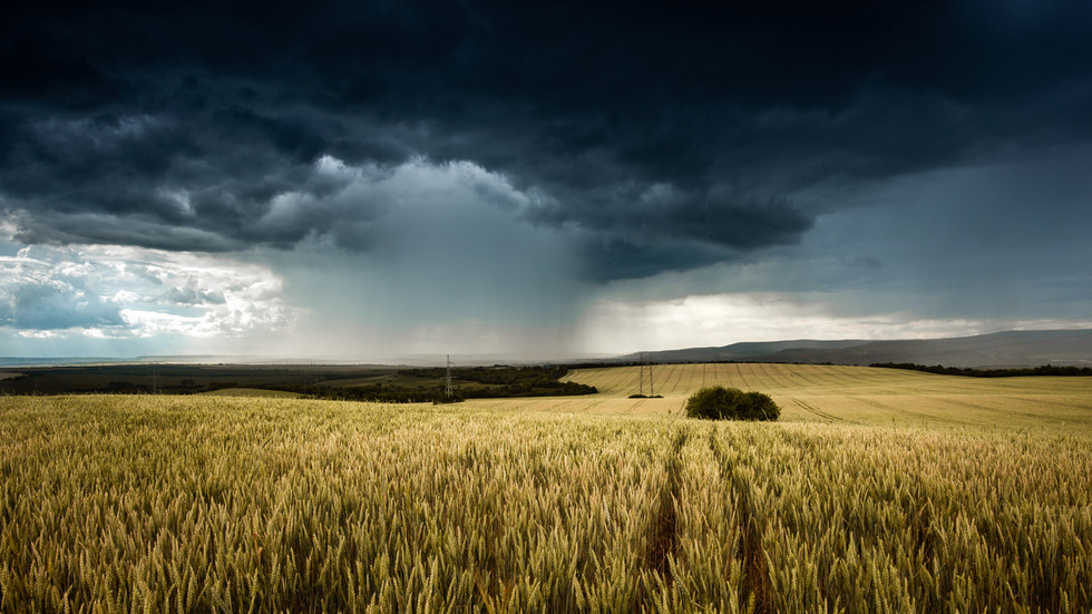 ONU catastrofe alimentare