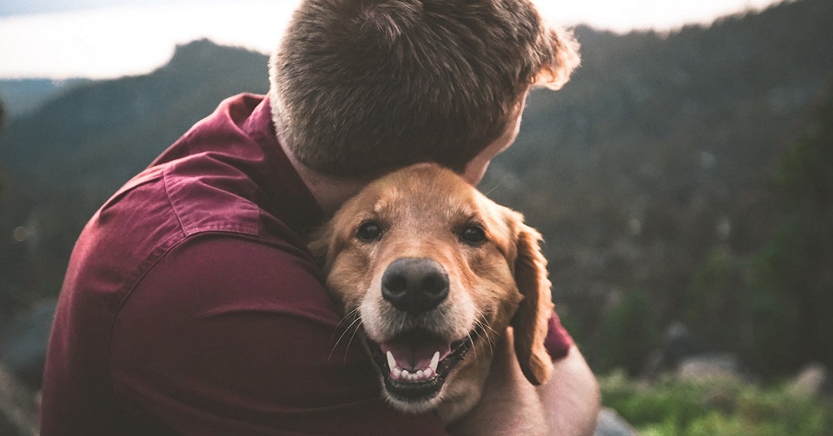 Animali e umani che convivono hanno un microbioma molto simile