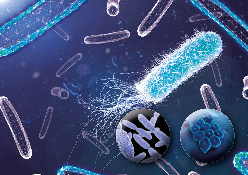 Una scoperta casuale potrebbe risolvere il problema della resistenza antibiotica